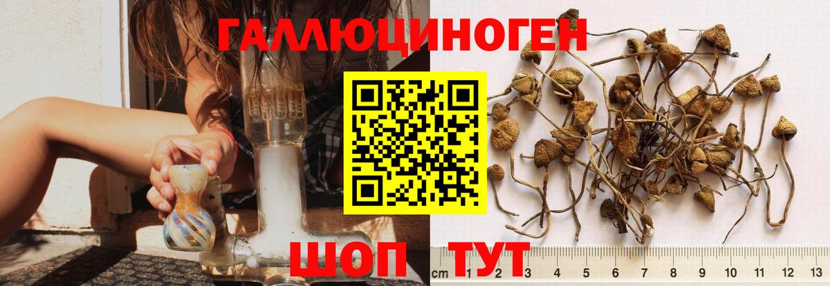 Псилоцибиновые грибы ЛСД Верхняя Пышма